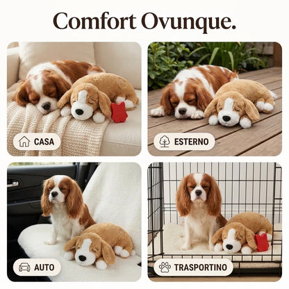 CalmiPet Battito